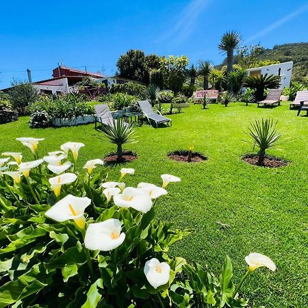 Casa Lazaro, Tegueste Bagian luar foto