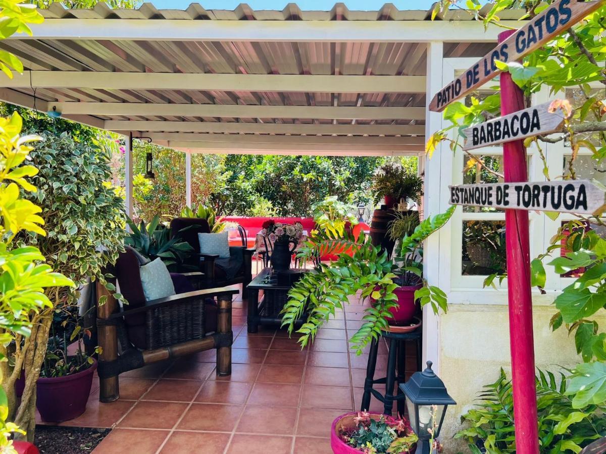Casa Lazaro, Tegueste Bagian luar foto